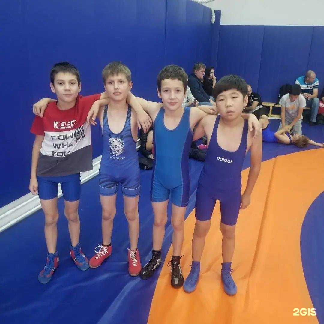 Отзывы на компанию Тигр в Новосибирске c фото