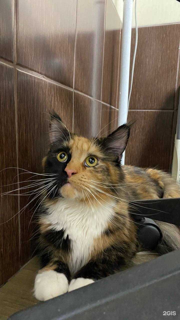 Отзывы на компанию Аксиос в Кемерове c фото