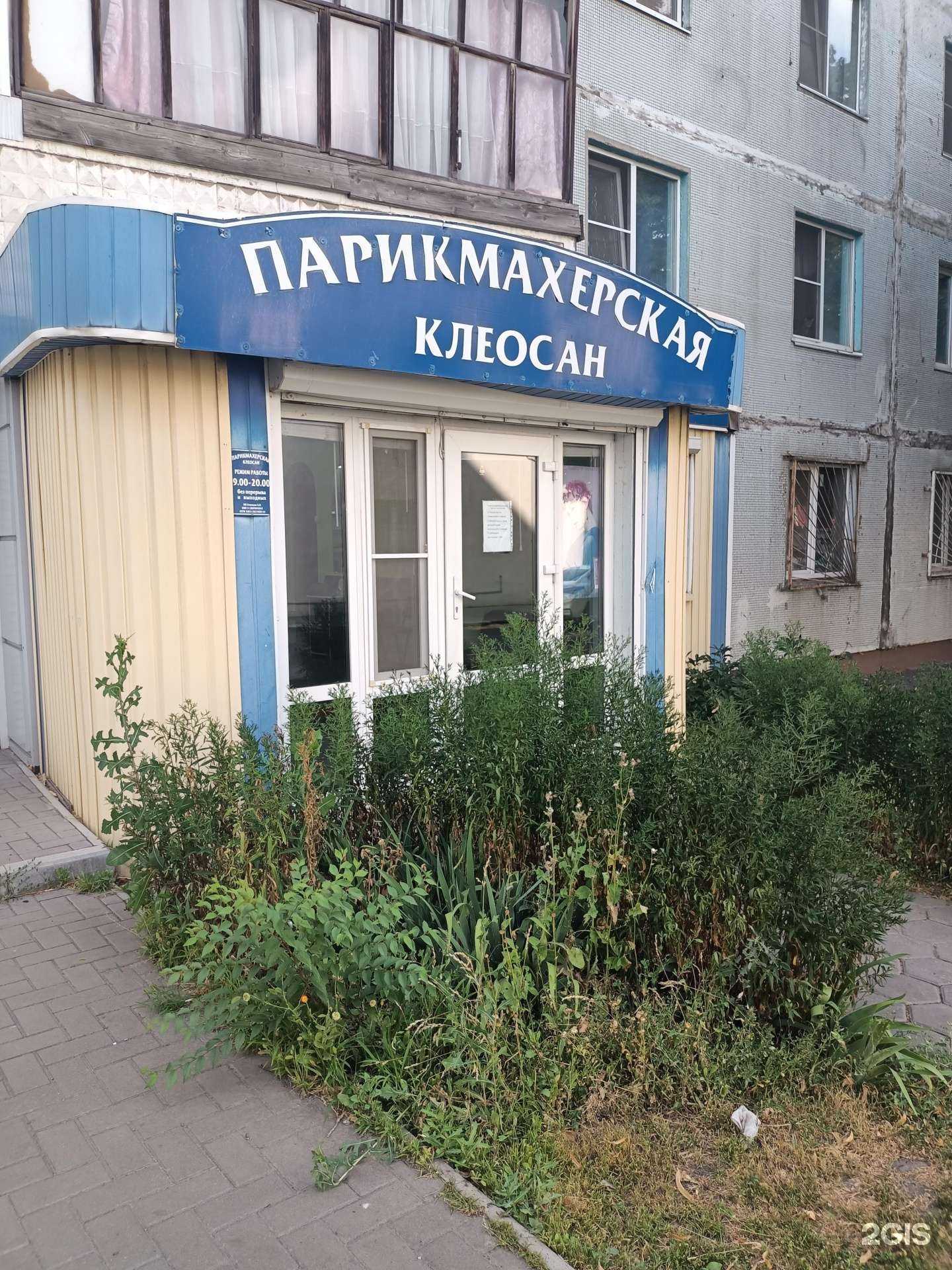 Отзывы на компанию Клеосан в Старом Осколе c фото