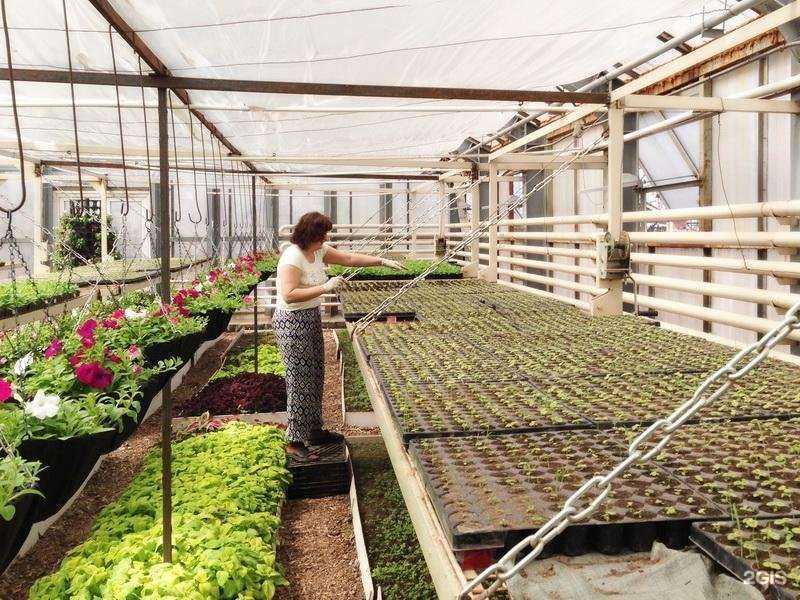 Отзывы на компанию Горзеленстрой в г. Хабаровск c фото