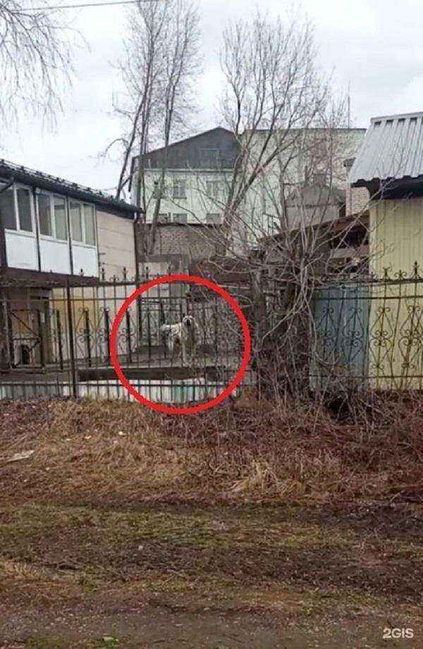 Отзывы на компанию Строительная компания в Кирове c фото