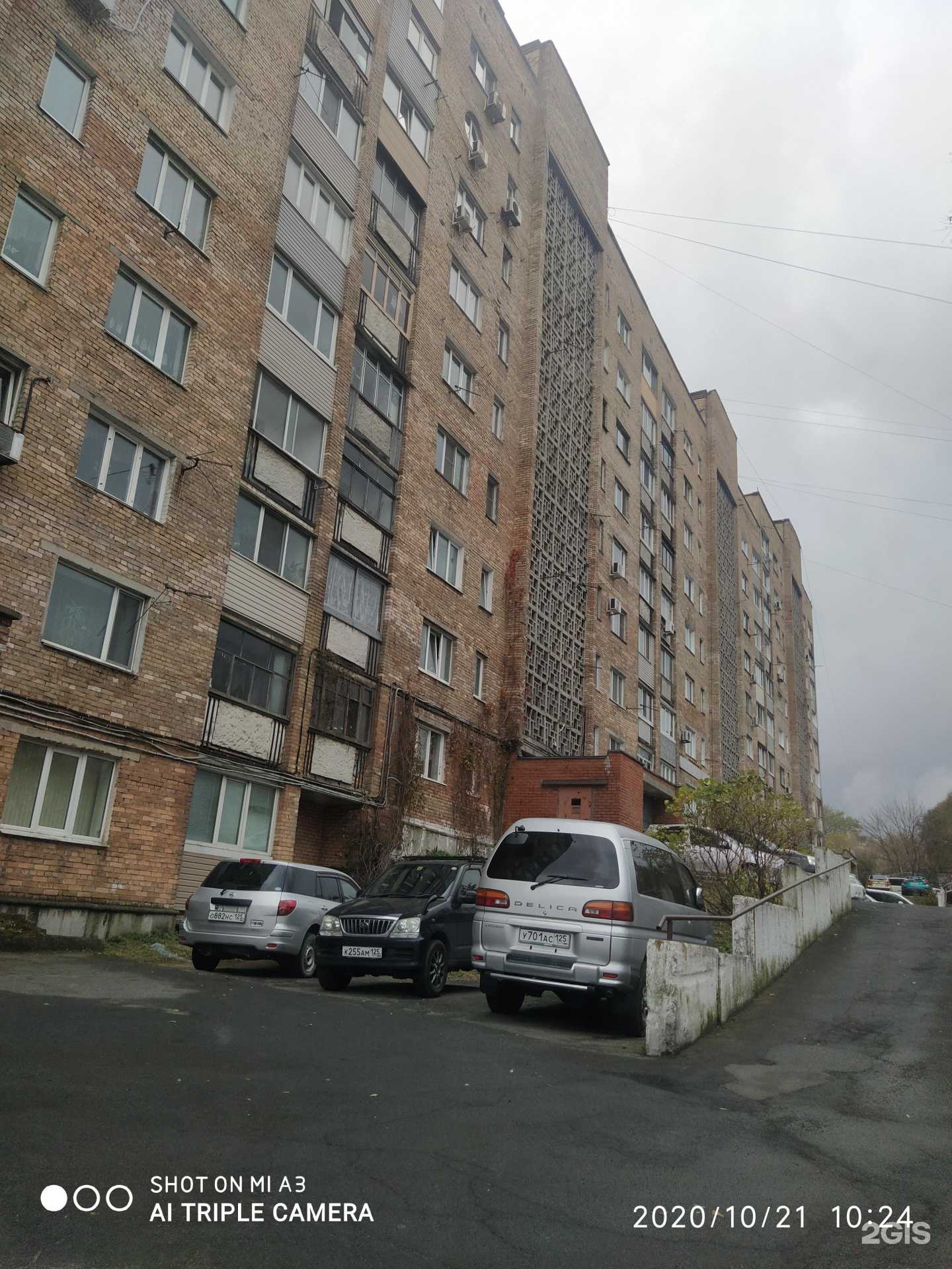 Отзывы на компанию Zoомания в Владивостоке c фото - фотография 2 из 2