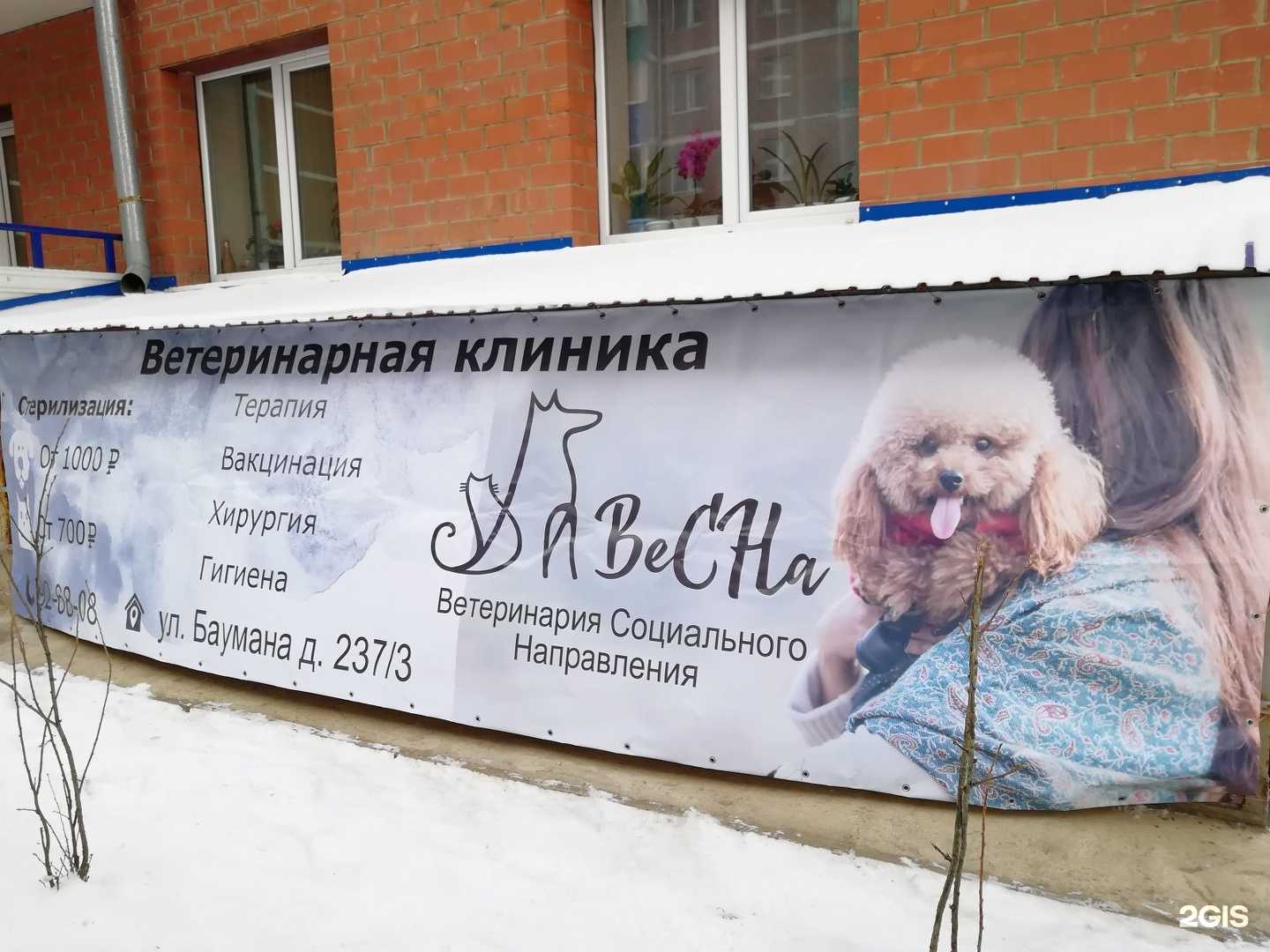 Отзывы на компанию Весна в г. Иркутск c фото