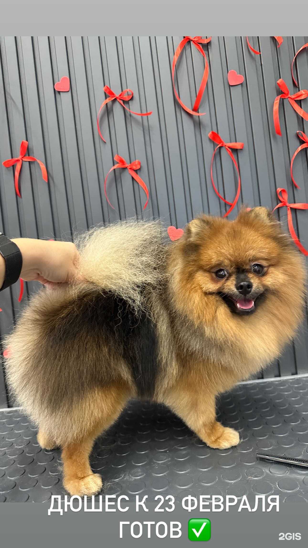 Отзывы на компанию Сократ Groom в Асбесте c фото