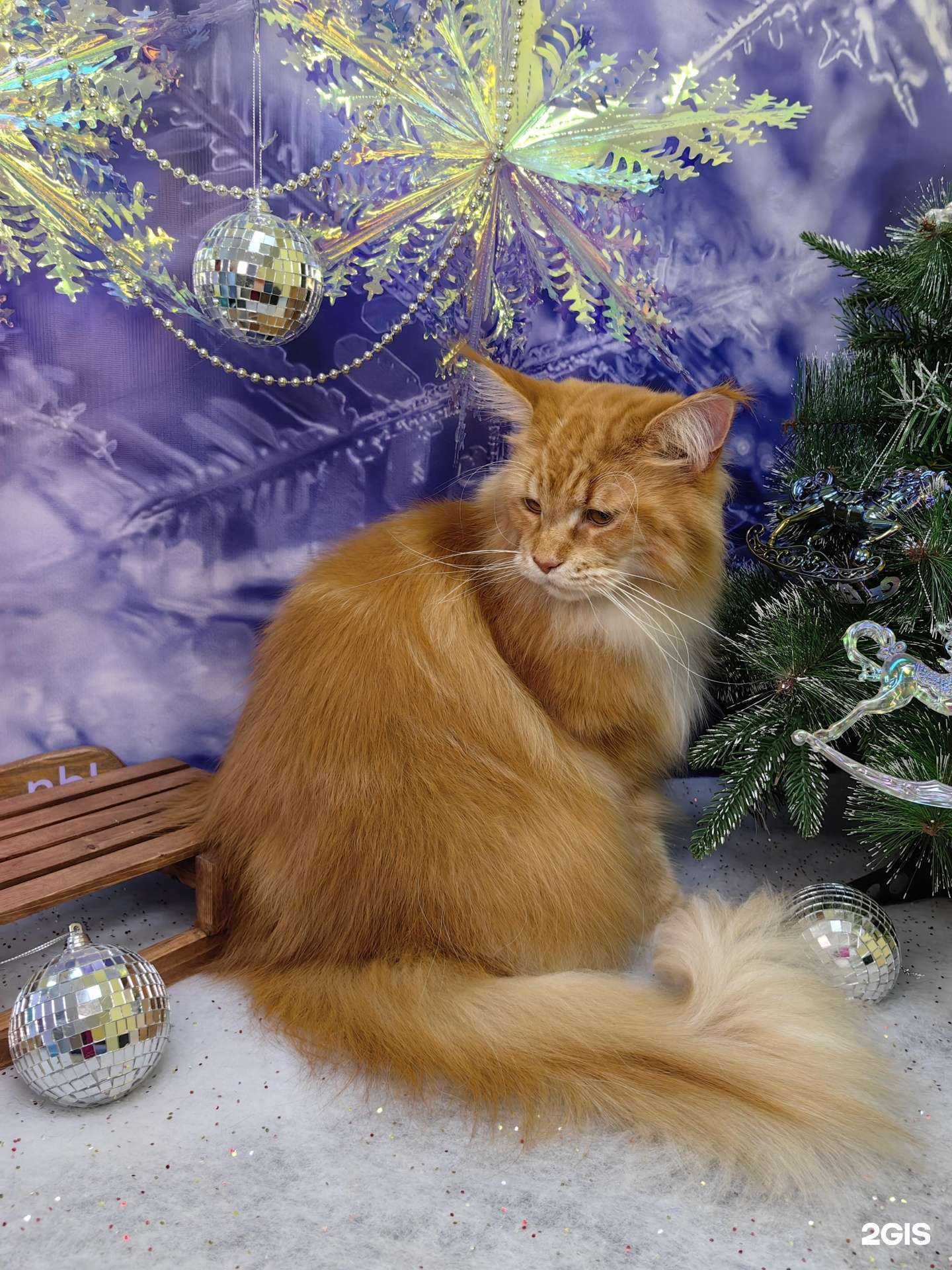 Отзывы на компанию Бульdog в г. Находка c фото