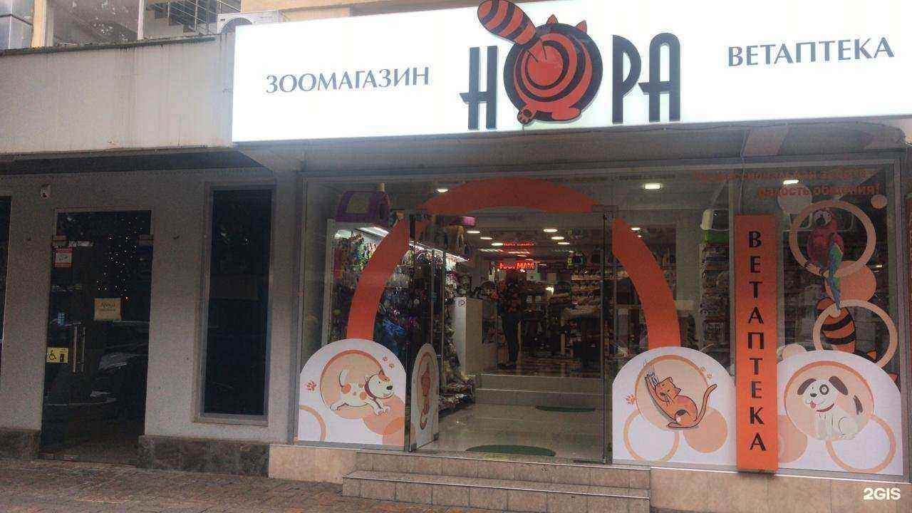 Отзывы на компанию Нора в Сочи c фото
