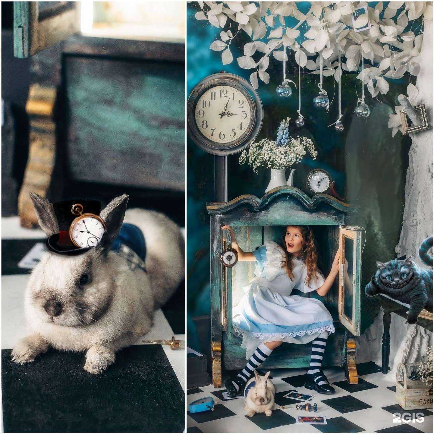 Отзывы на компанию Mark Studio в г. Калининград c фото