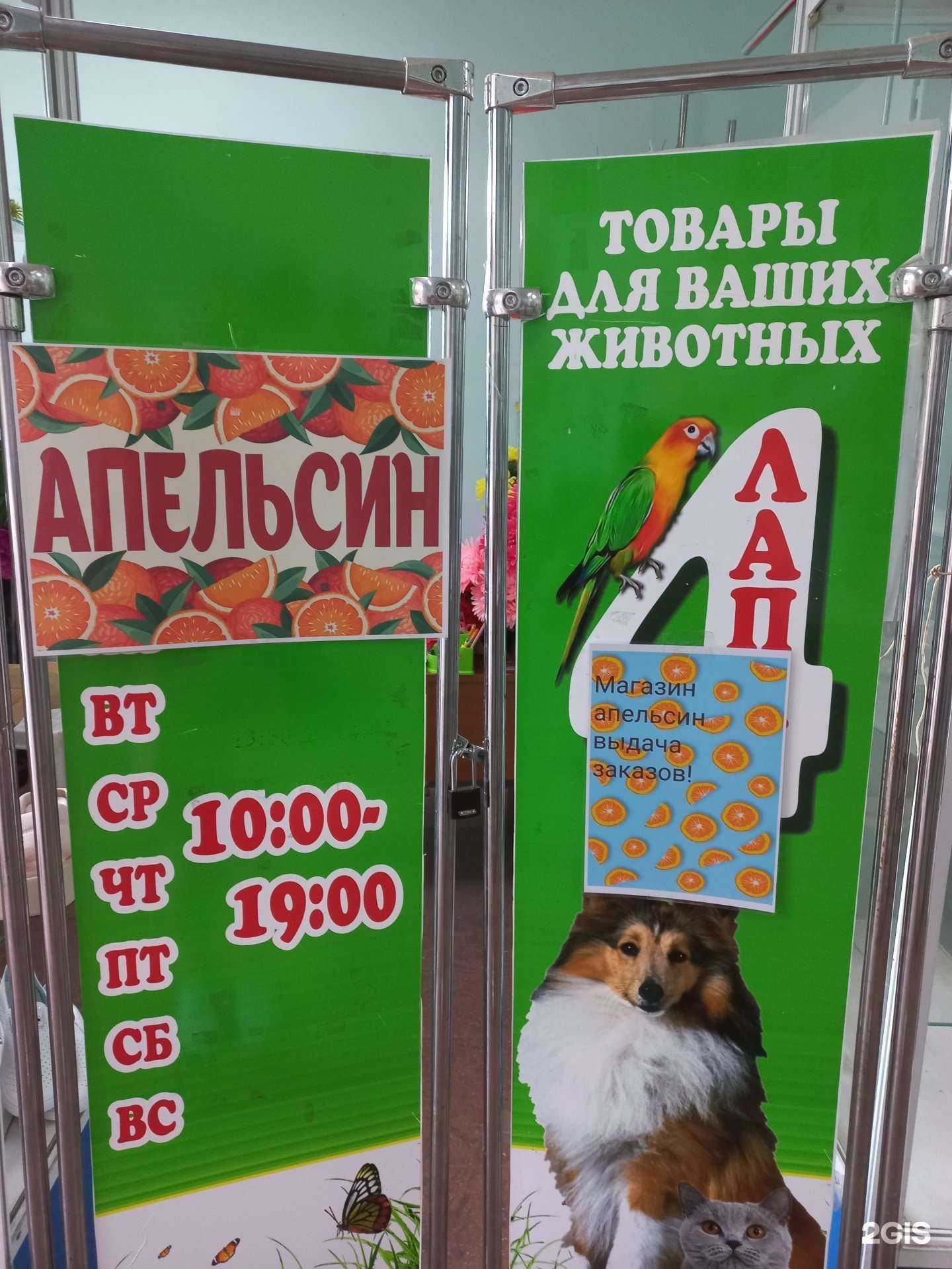 Отзывы на компанию Апельсин в Муроме c фото