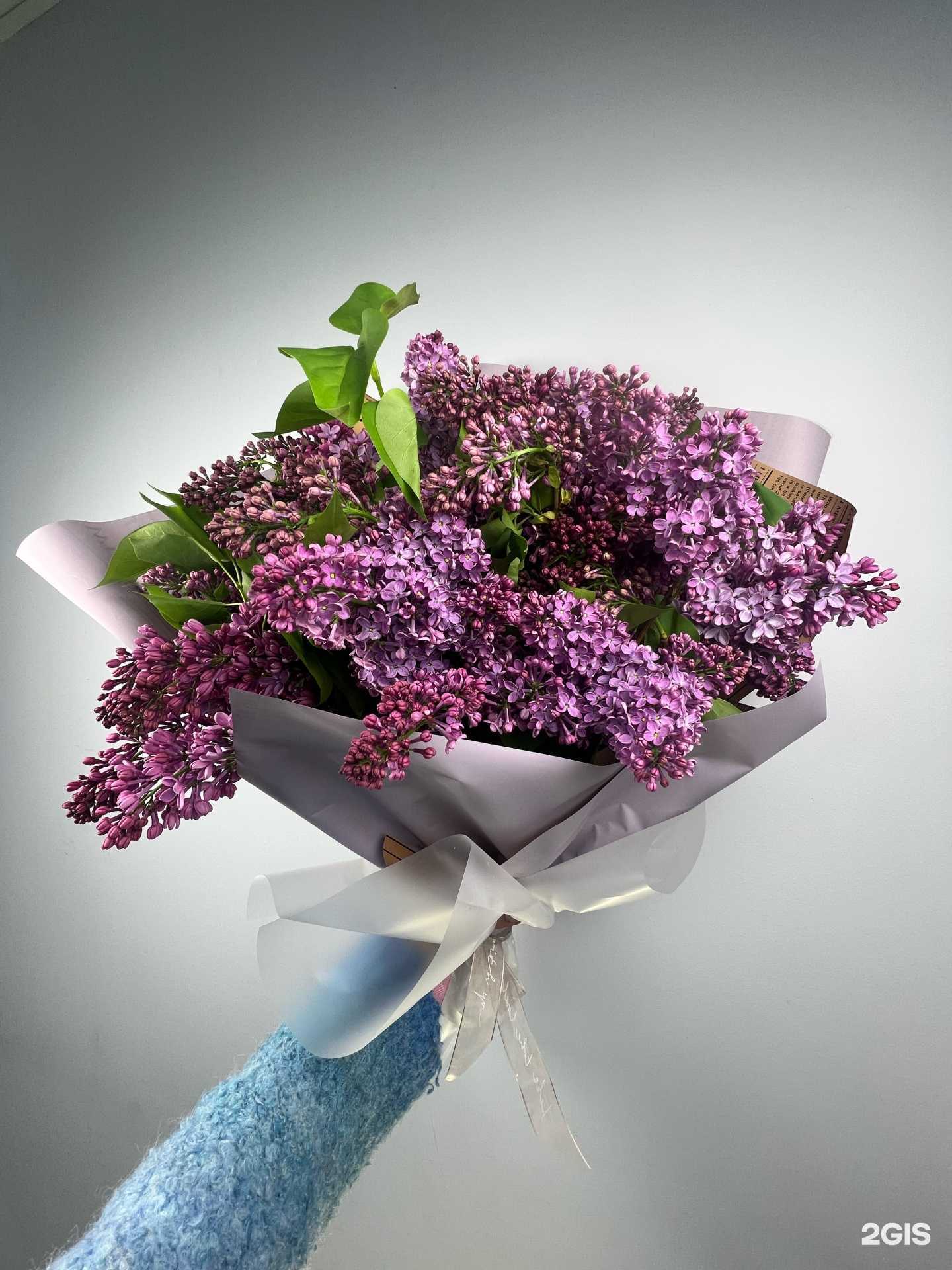 Отзывы на компанию Lily в Краснодаре c фото