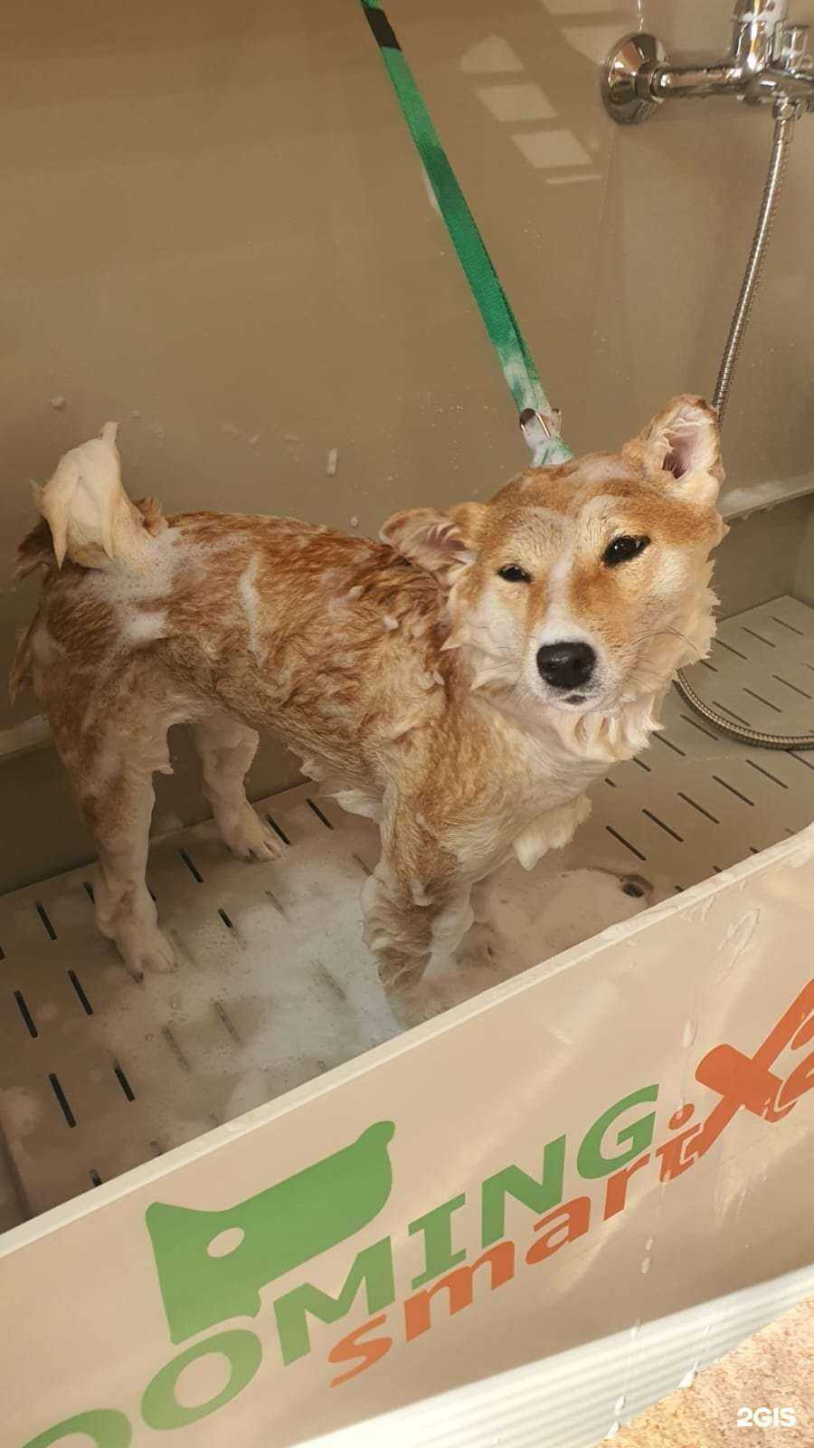 Отзывы на компанию BarberDog в Петропавловске-Камчатском c фото