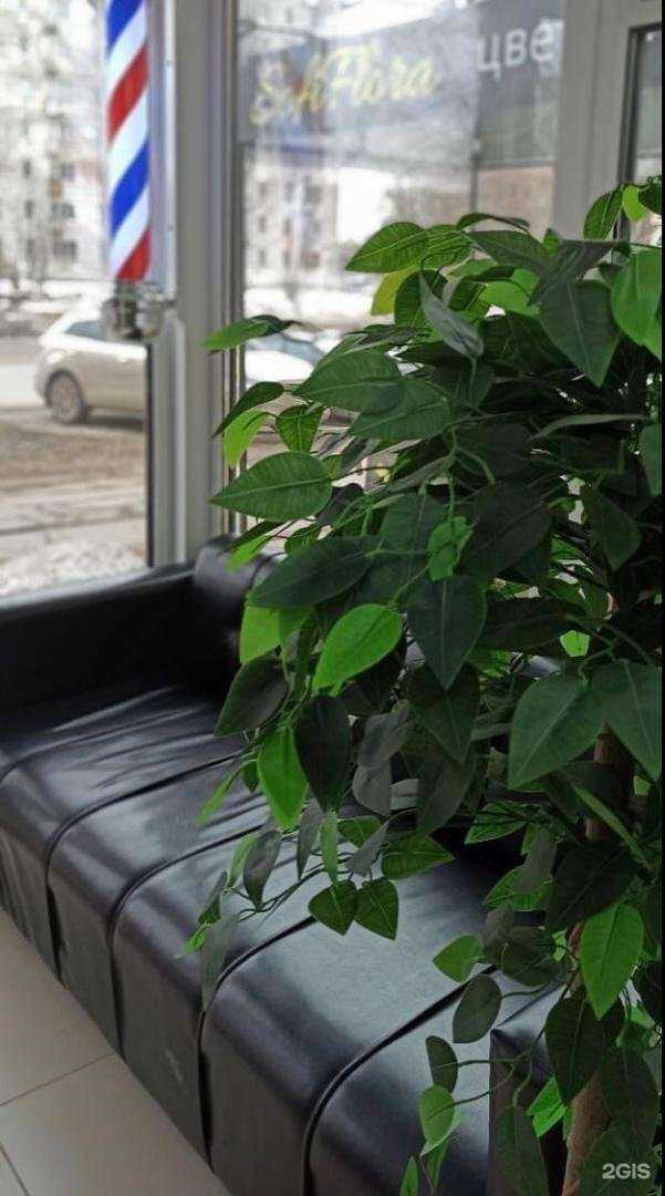 Отзывы на компанию Друзья в г. Пермь c фото