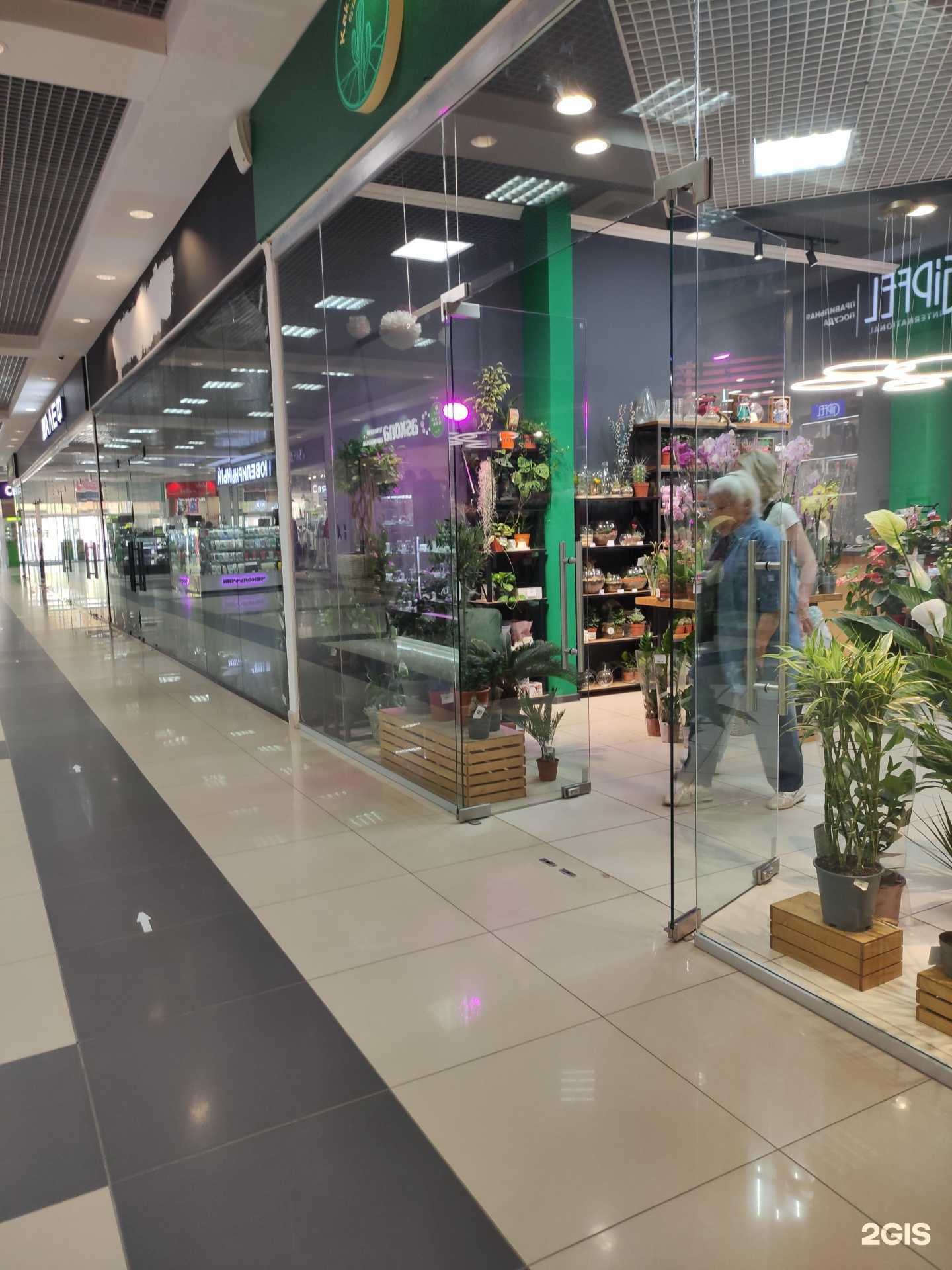 Отзывы на компанию КактусМаркет в Дмитрове c фото