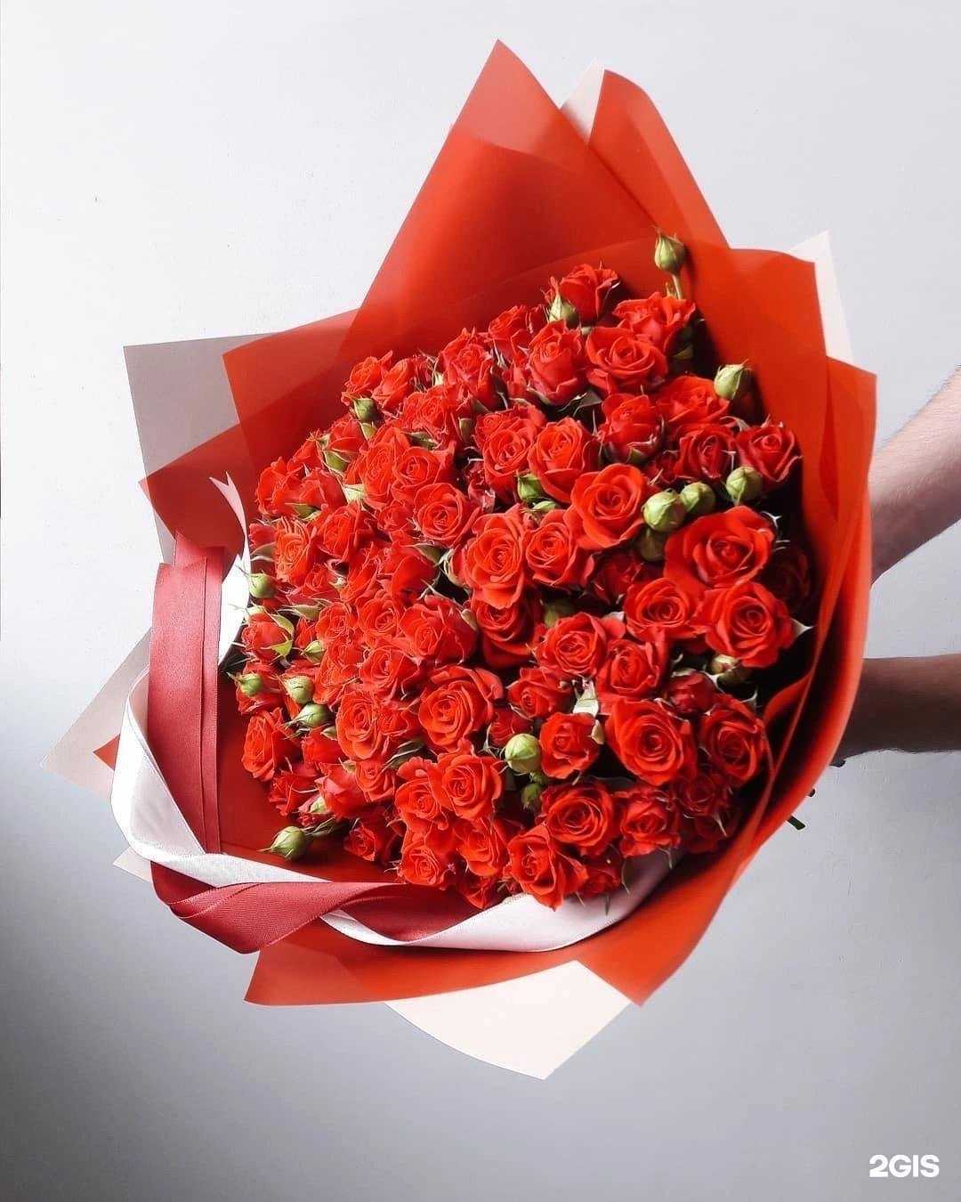 Отзывы на компанию Парикмахерская в Новосибирске c фото