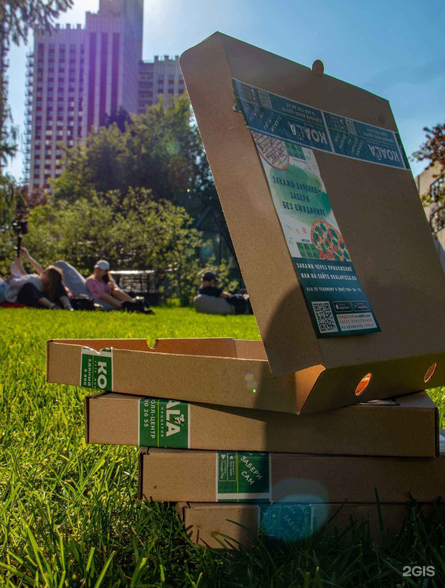 Отзывы на компанию Koala в Екатеринбурге c фото