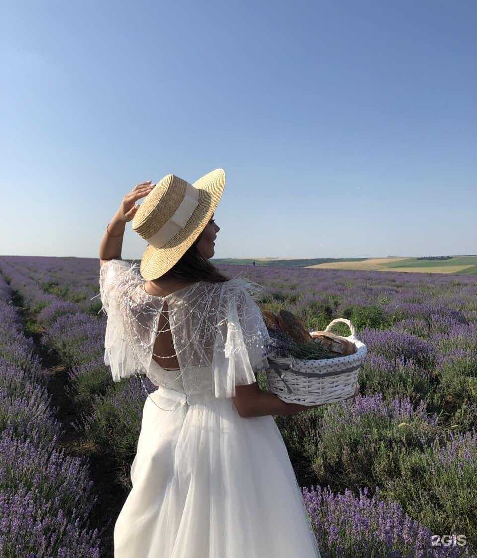 Отзывы на компанию Мадонна в Волгограде c фото