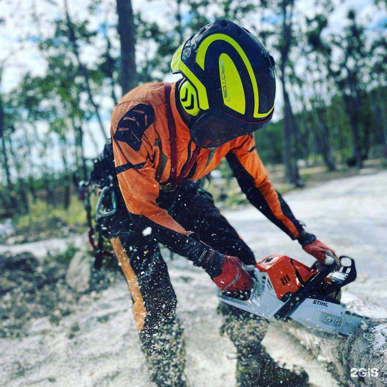 Отзывы на компанию Arborist Team Pacific в г. Владивосток c фото