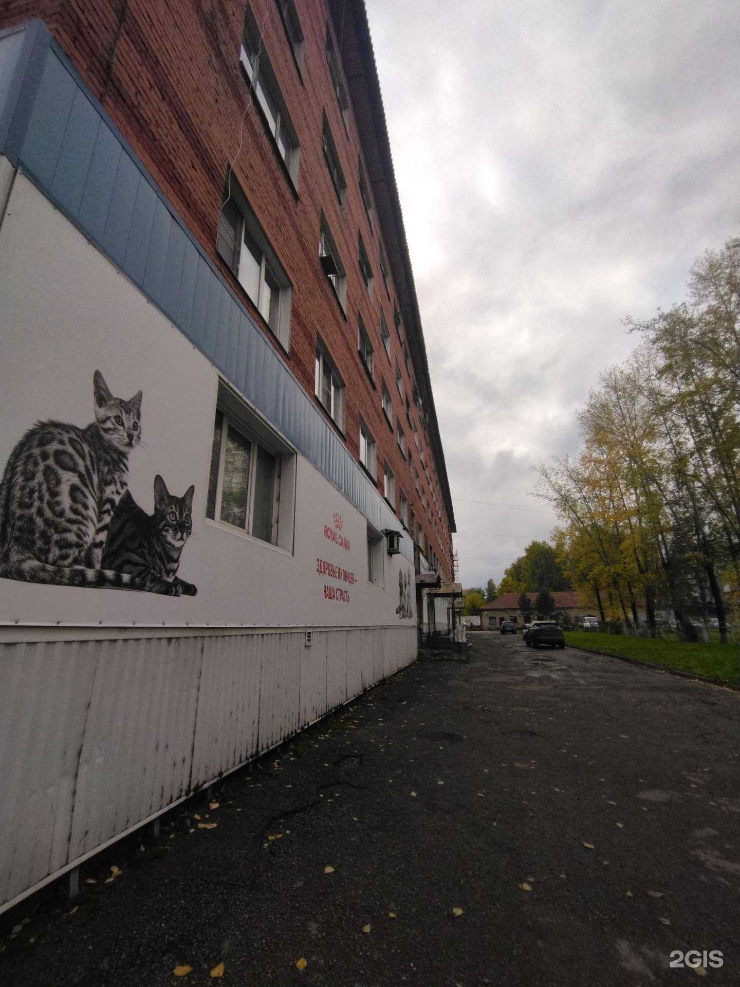 Отзывы на компанию Кот, пес и Ко в Междуреченске c фото - фотография 2 из 2