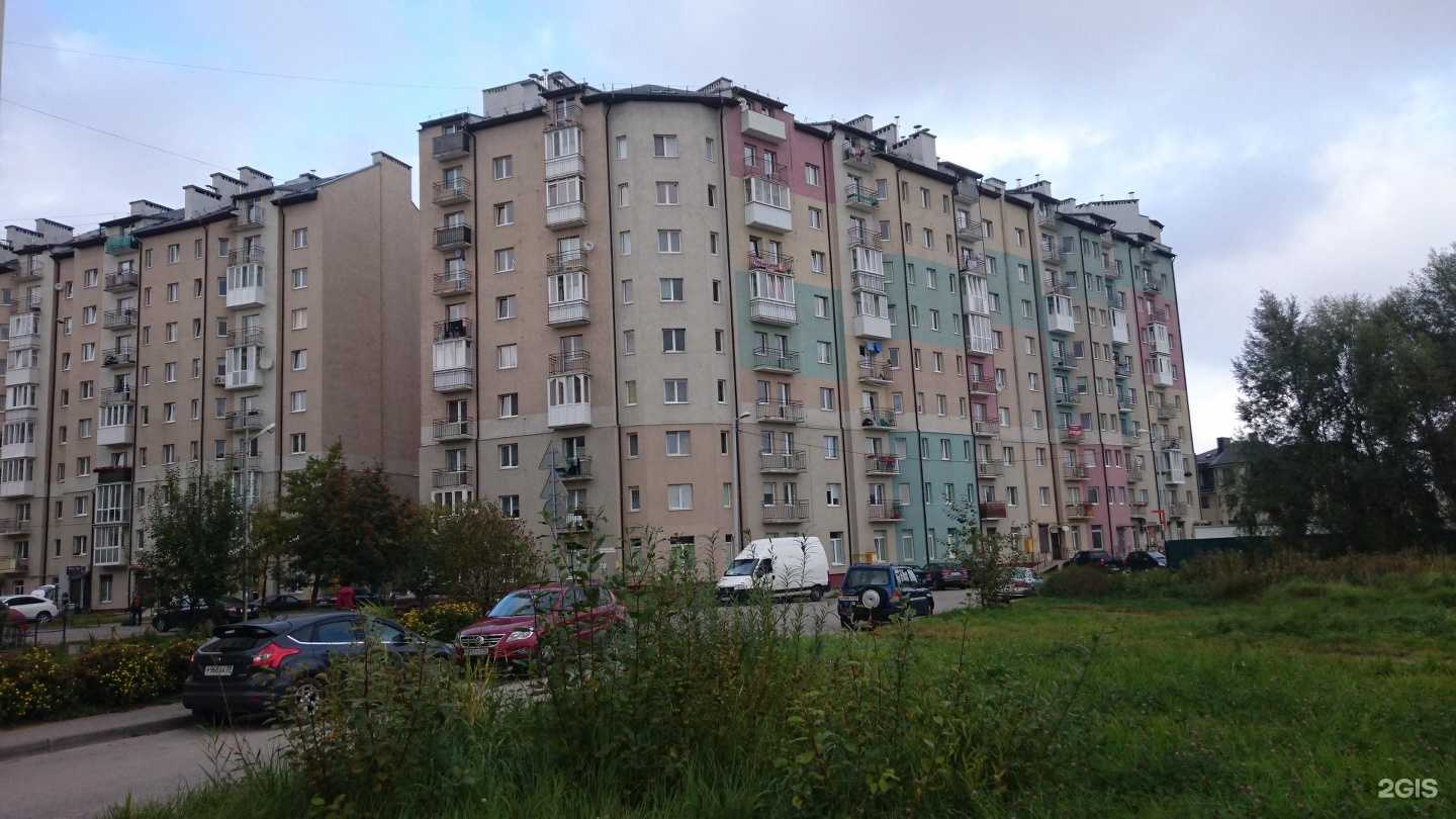 Отзывы на компанию Кдмилк в Калининграде c фото - фотография 2 из 2