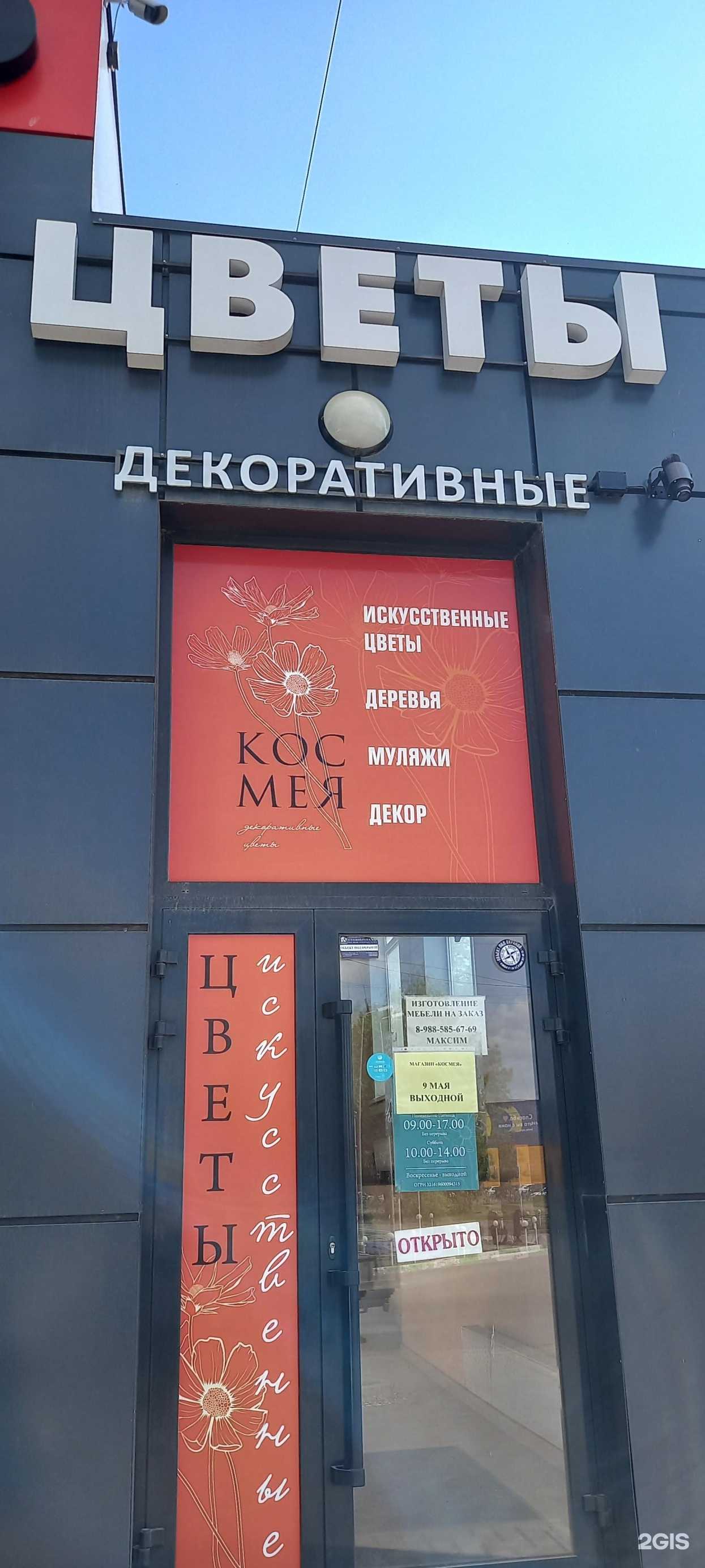 Отзывы на компанию Космея в Таганроге c фото