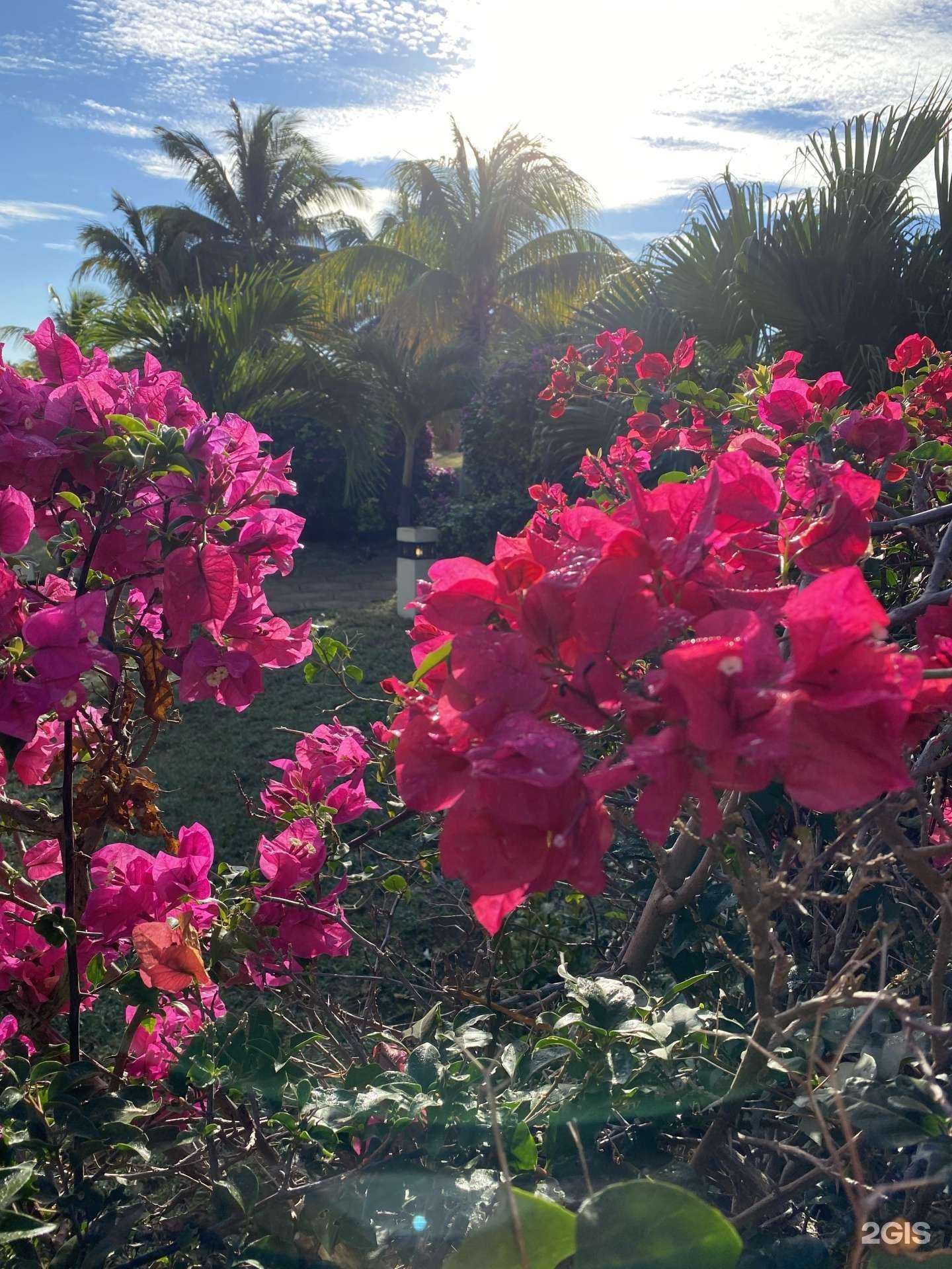 Отзывы на компанию Хоттур в г. Томск c фото