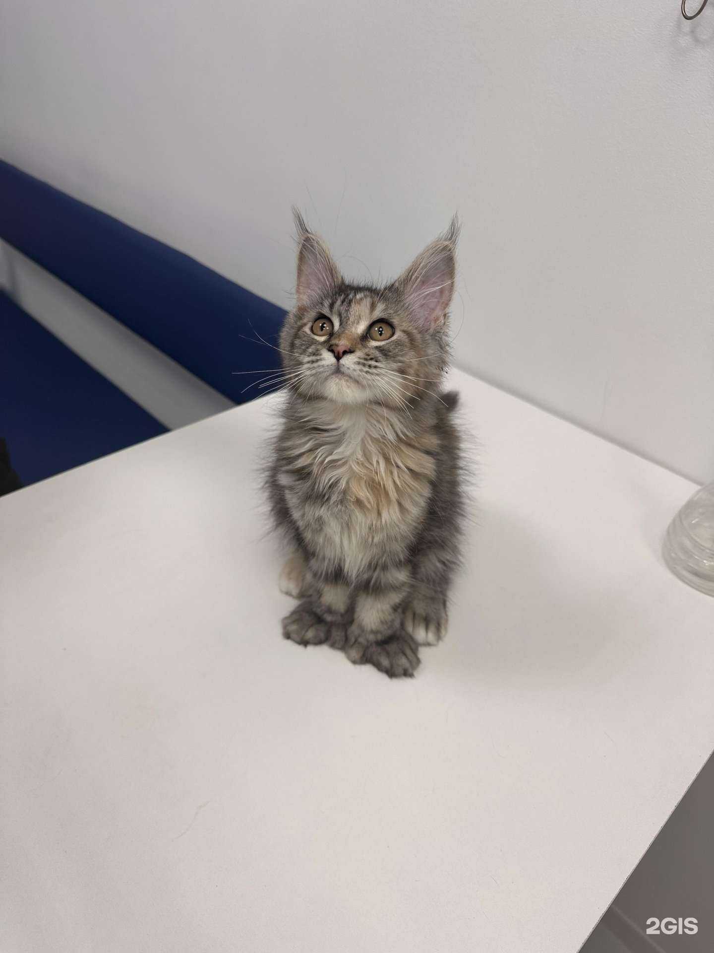 Отзывы на компанию Светлоград в Краснодаре c фото