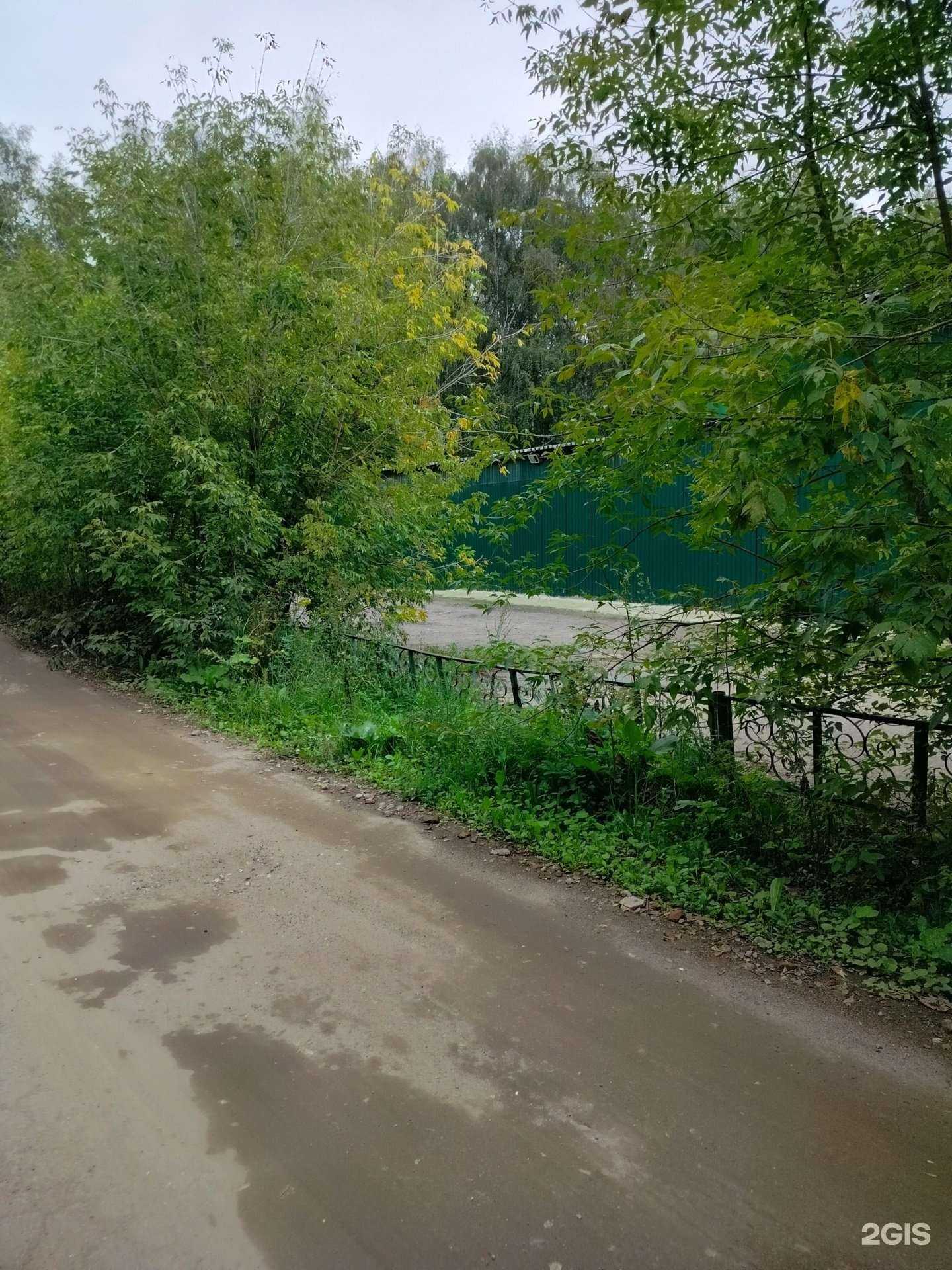 Отзывы на компанию Перфекто фальконэ в Балашихе c фото - фотография 2 из 2