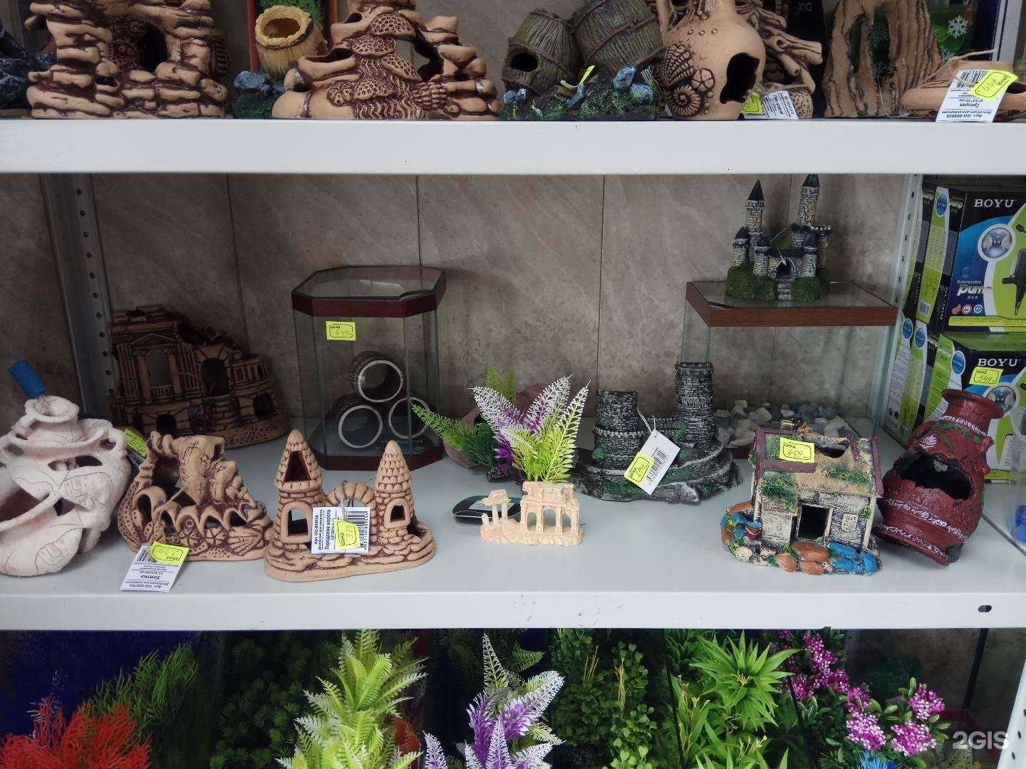 Отзывы на компанию Сибирский аквариум-сервис в Красноярске c фото