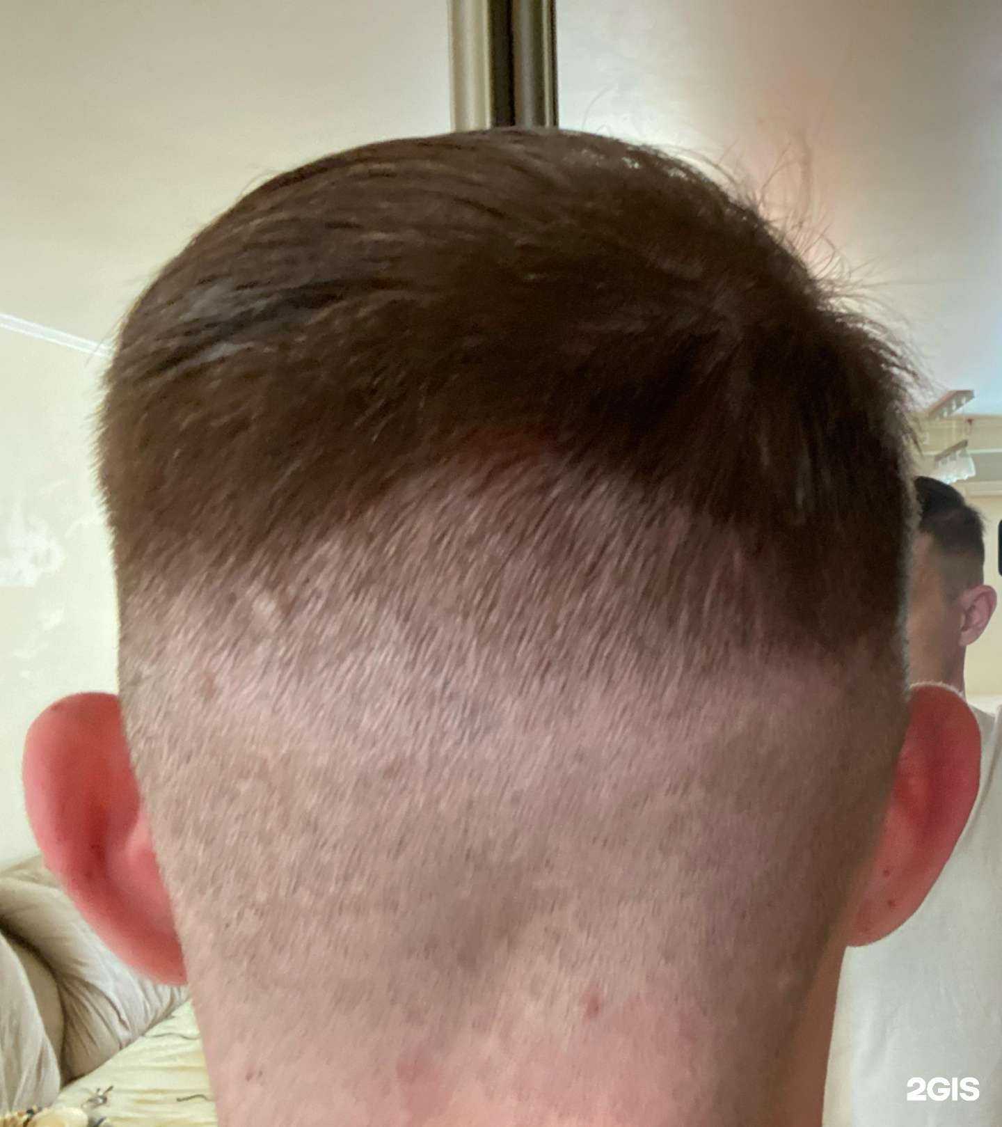 Отзывы на компанию Верона в Новосибирске c фото