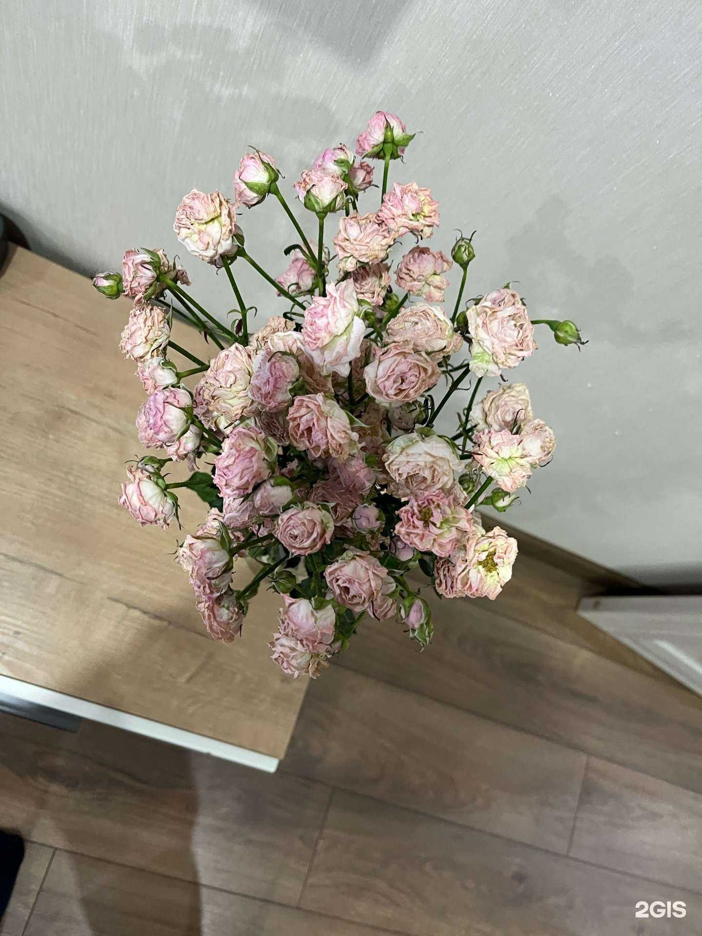 Отзывы на компанию Мир цветов в Перми c фото
