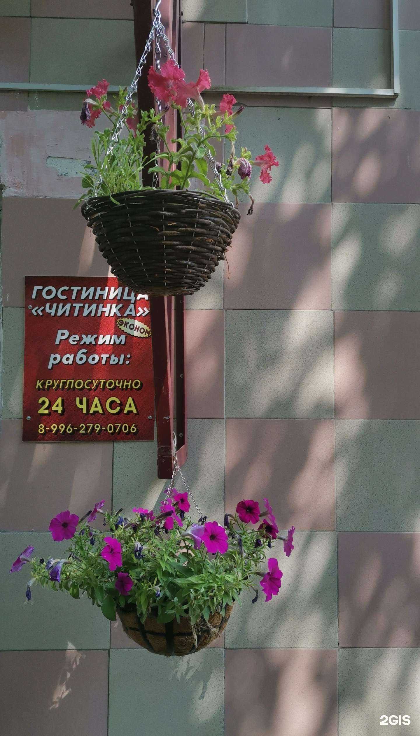 Отзывы на компанию Читинка в Чите c фото