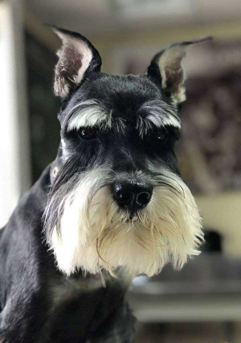 Отзывы на компанию АльфаВет в г. Улан-Удэ c фото