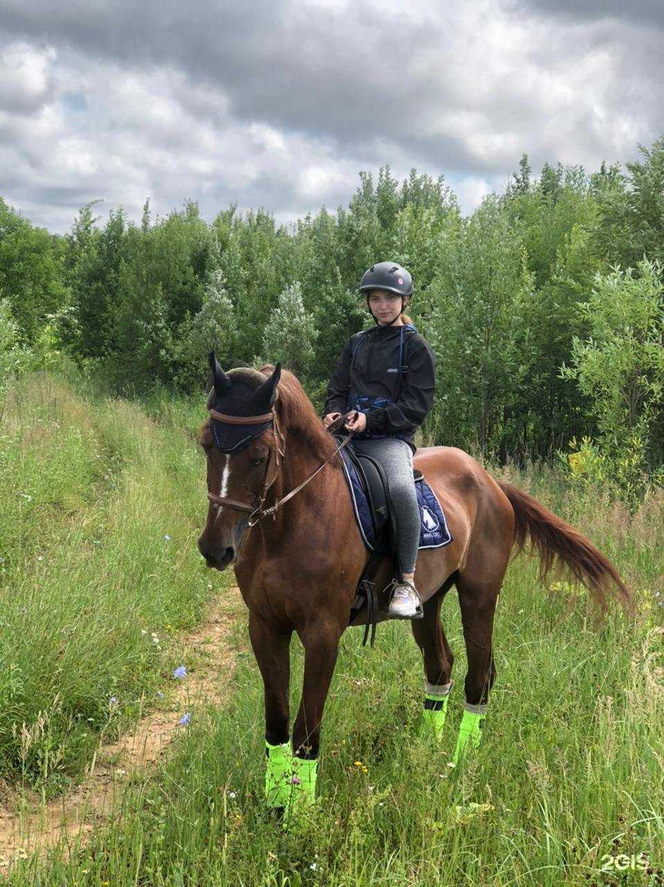 Отзывы на компанию Кентавр в г. Химки c фото