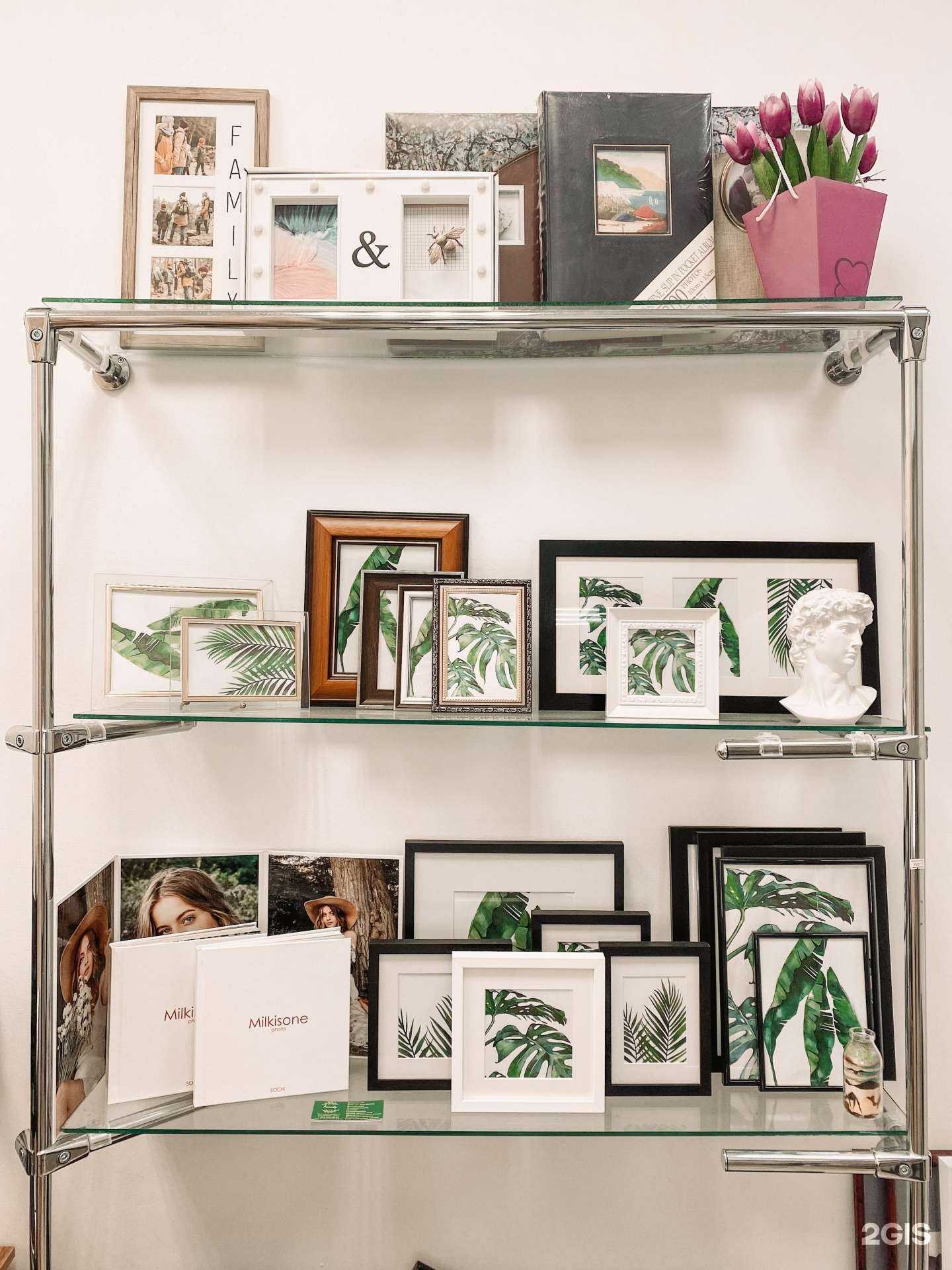 Отзывы на компанию Family в Сочи c фото