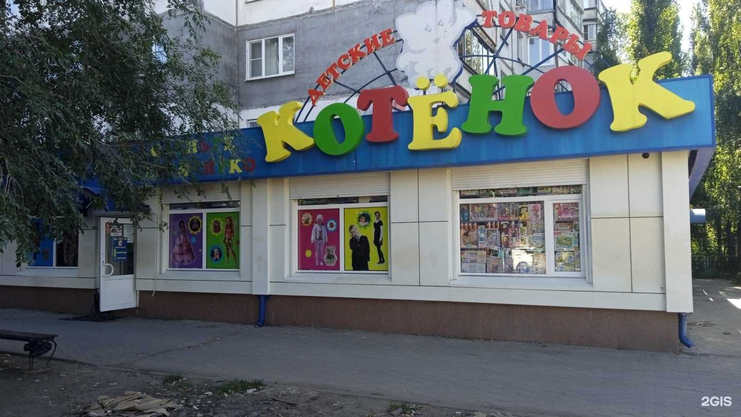 Отзывы на компанию Котёнок в Воронеже c фото