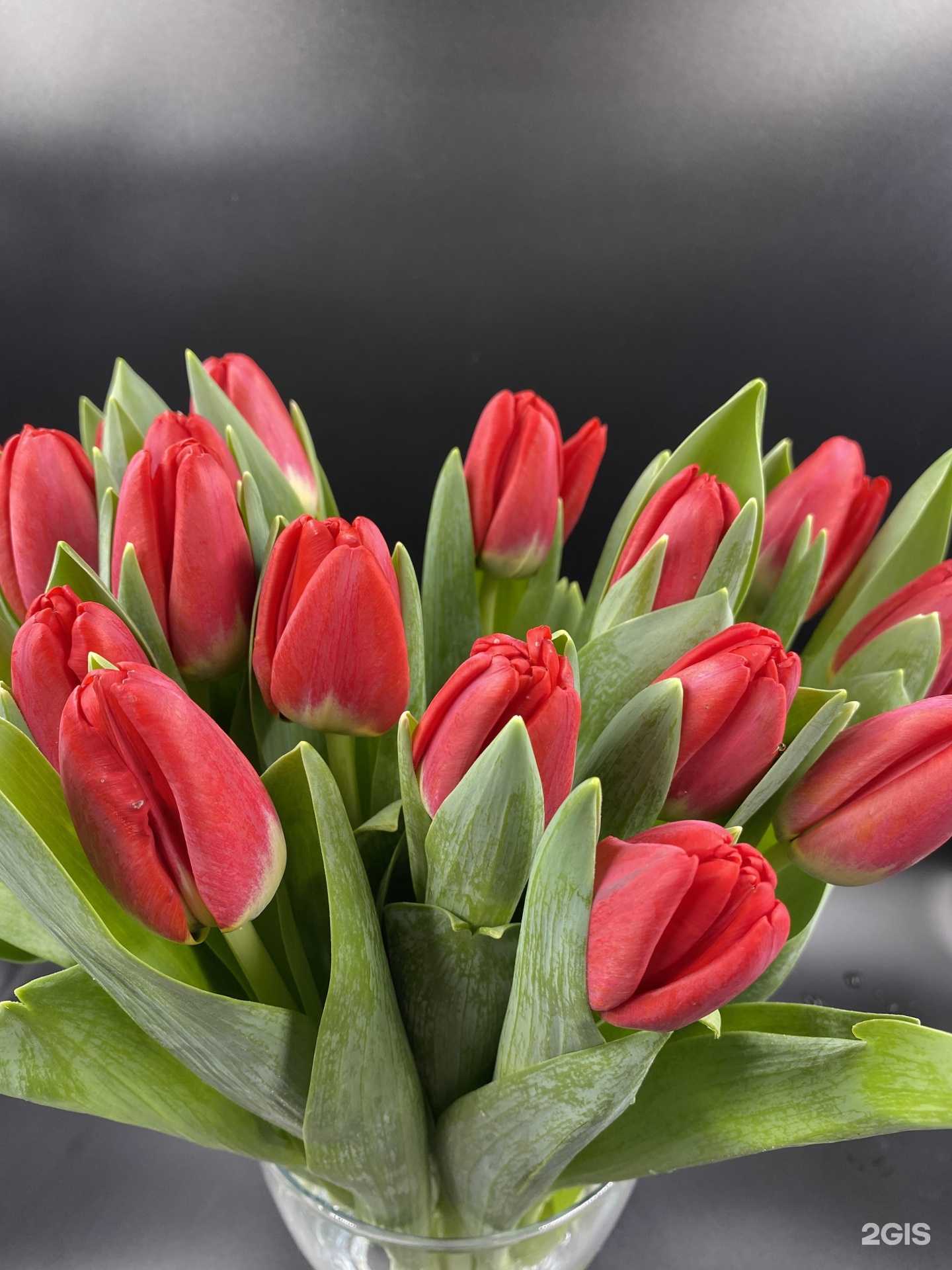 Отзывы на компанию София в Королёве c фото