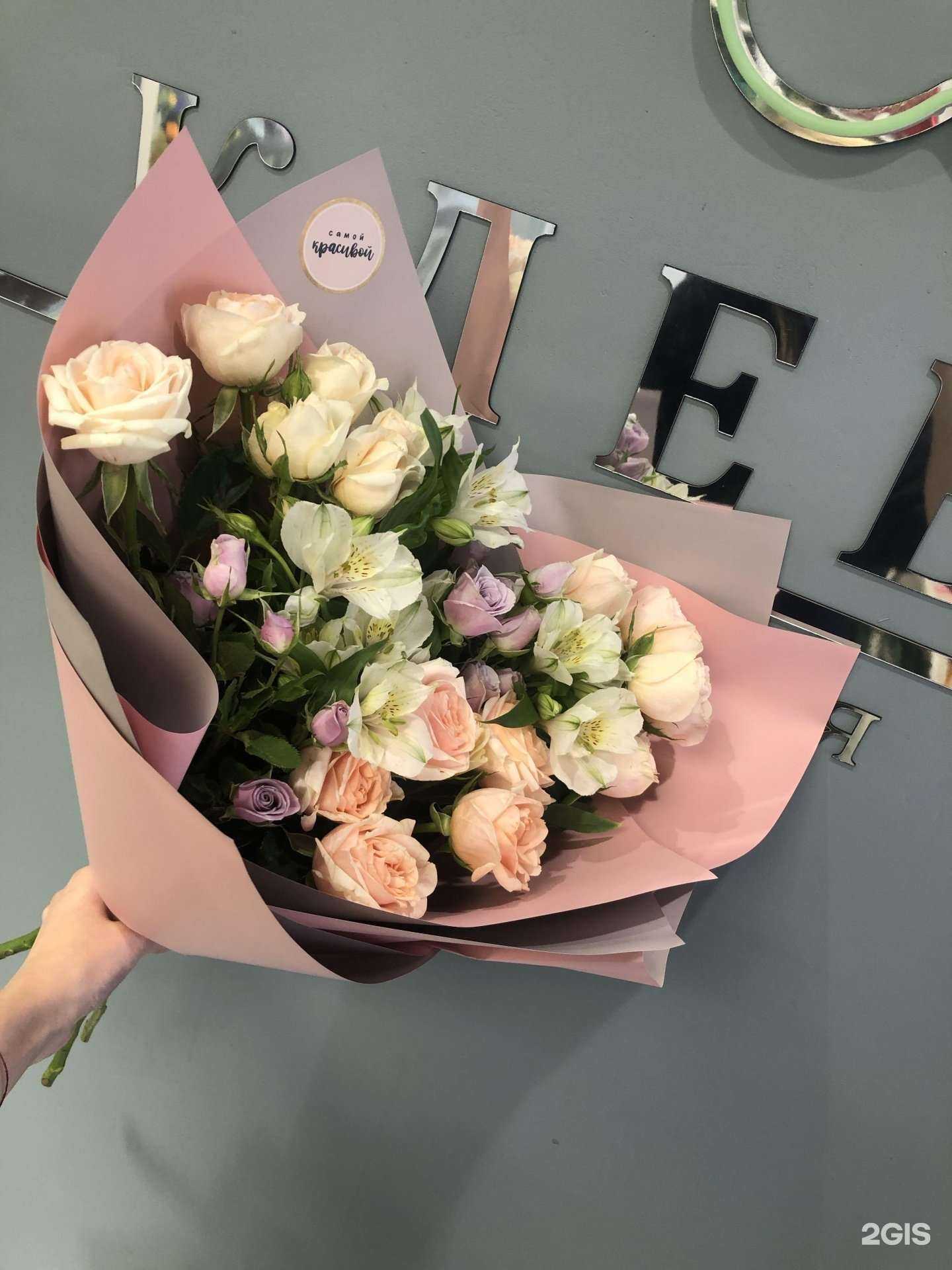 Отзывы на компанию Клевер в Чите c фото