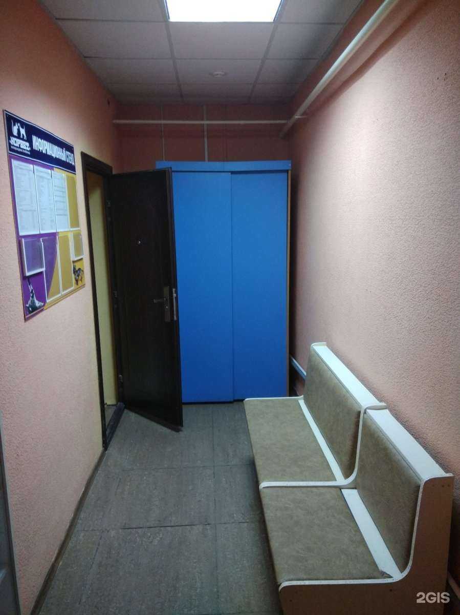 Отзывы на компанию Норвет в Барнауле c фото