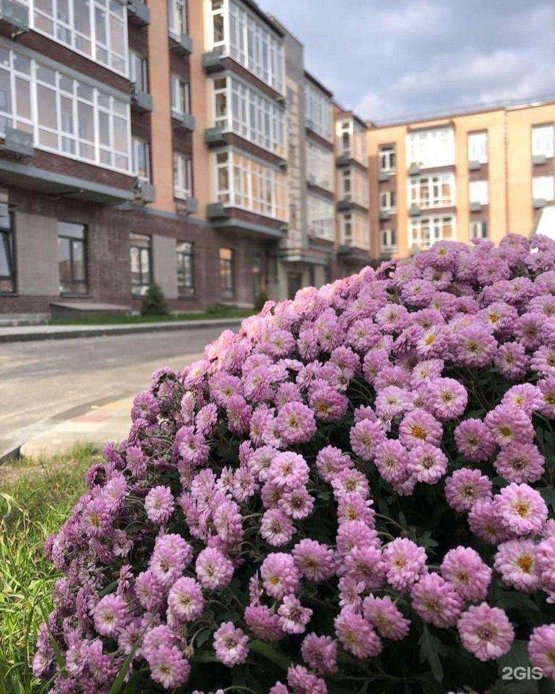 Отзывы на компанию Планета Земля в г. Аксай c фото