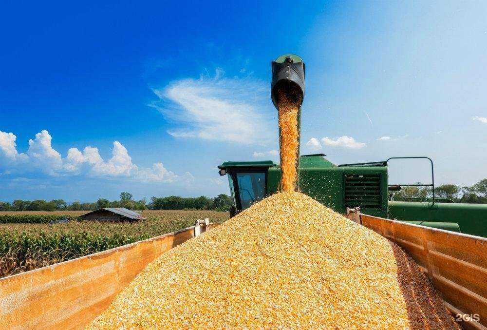 Отзывы на компанию Альфа Дон Транс в г. Балаково c фото