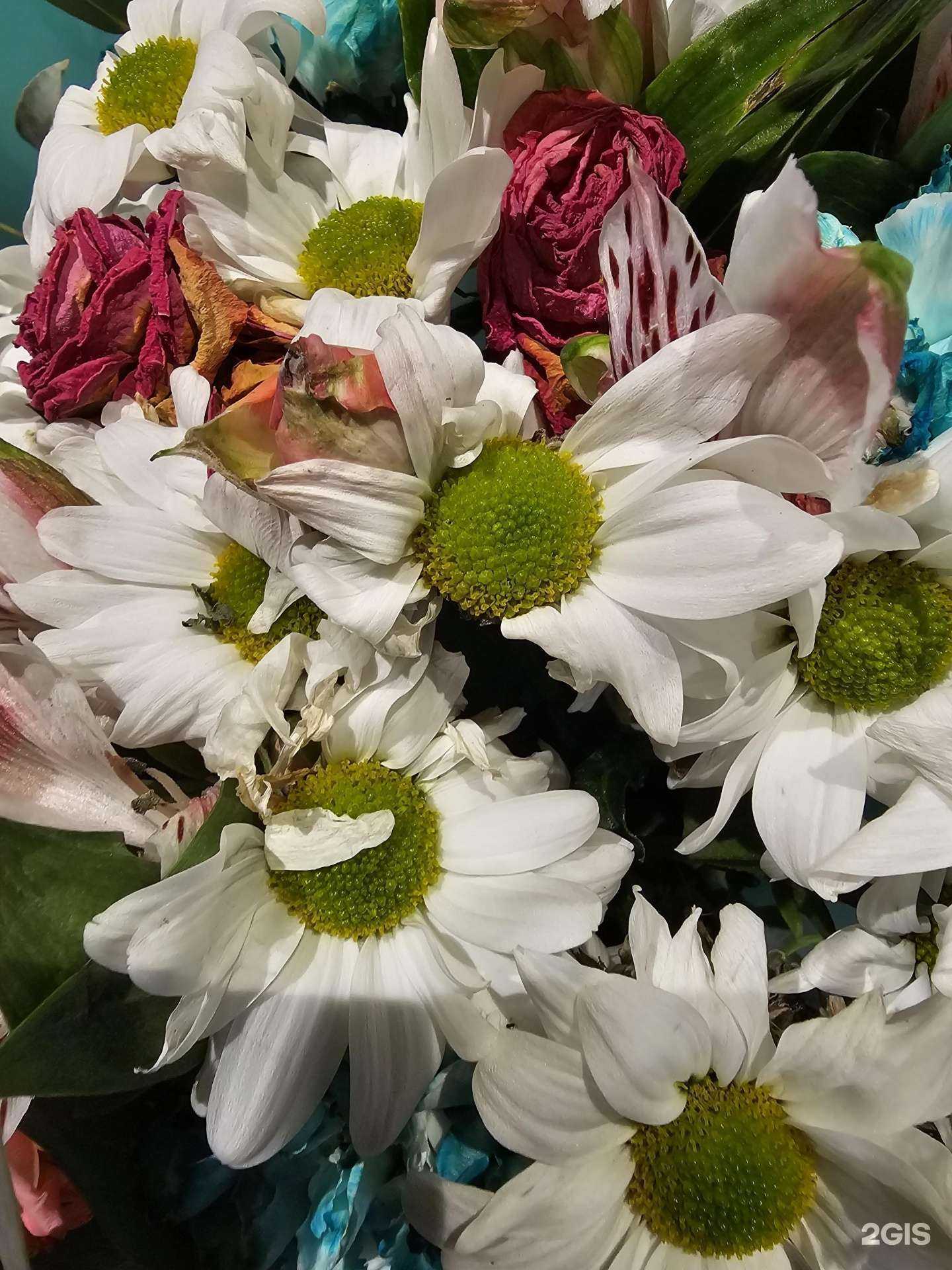 Отзывы на компанию Фея в Красноярске c фото