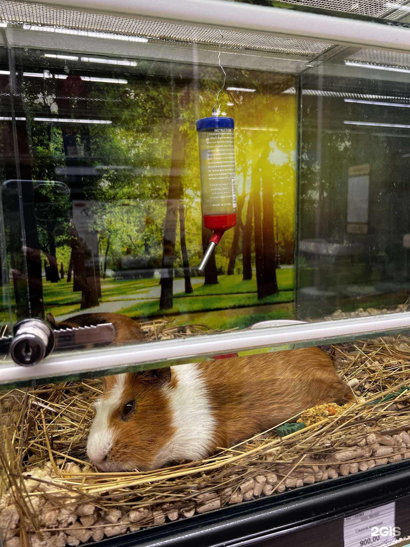 Отзывы на компанию Ветна в г. Уфа c фото