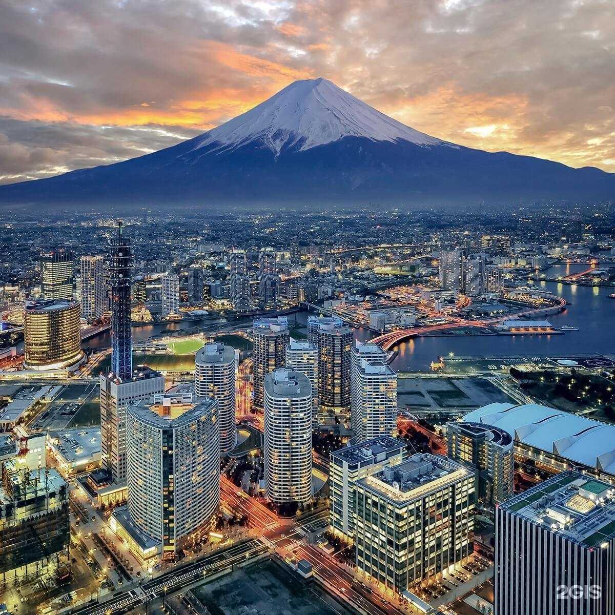 Отзывы на компанию Оптовая компания в Новосибирске c фото