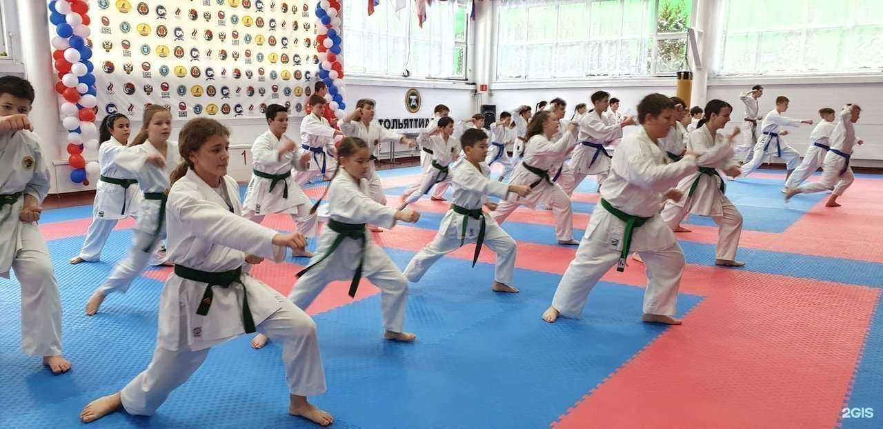 Отзывы на компанию Поволжская академия боевых искусств в Тольятти c фото