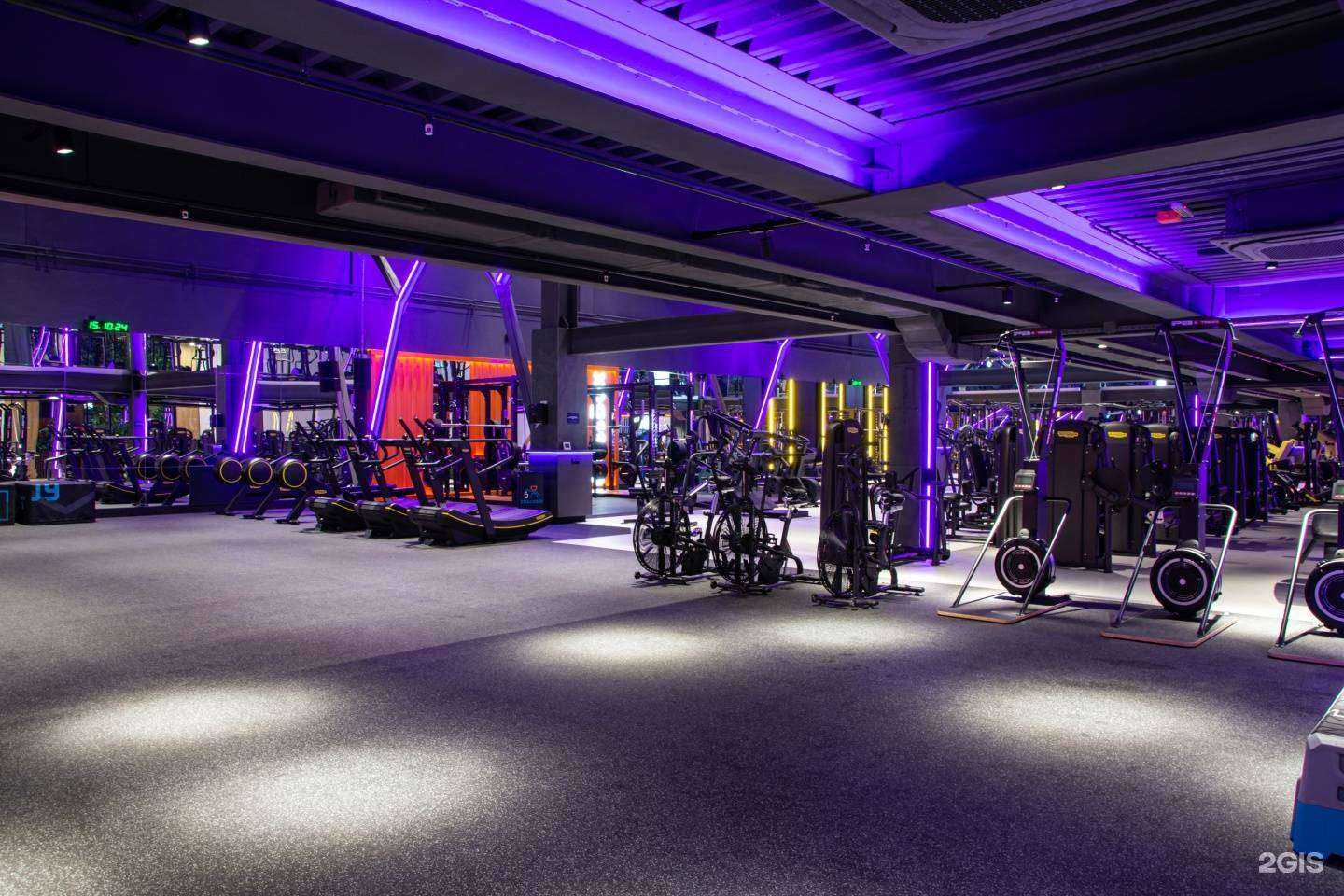 Отзывы на компанию DDX Fitness в Волгограде c фото