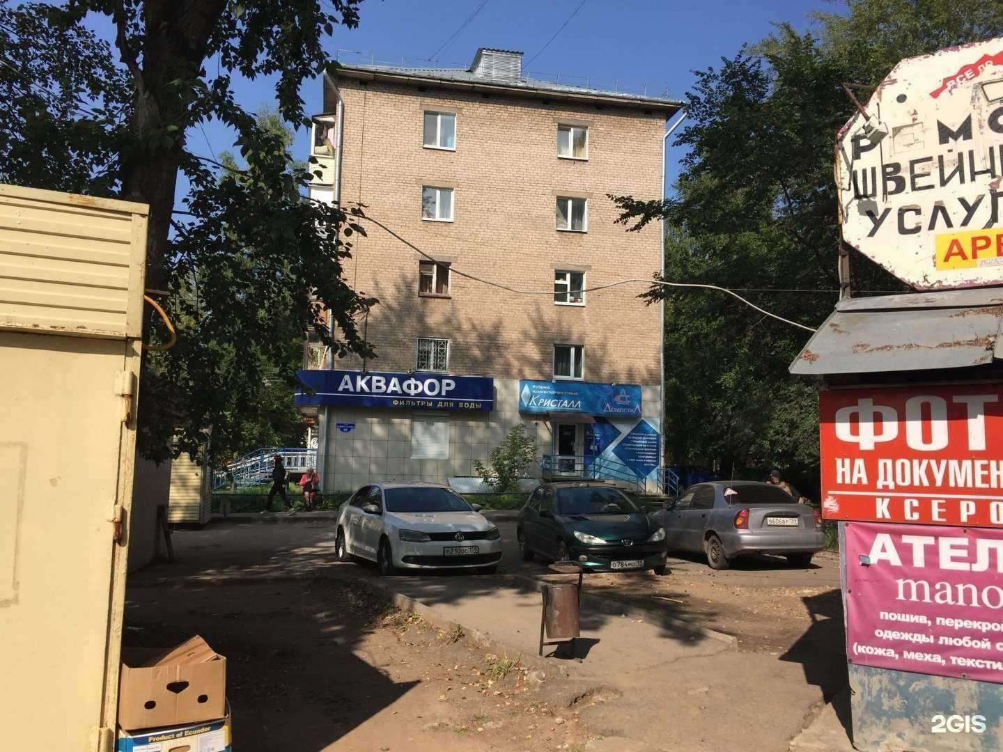 Отзывы на компанию Мир хвостатых в Перми c фото - фотография 2 из 2