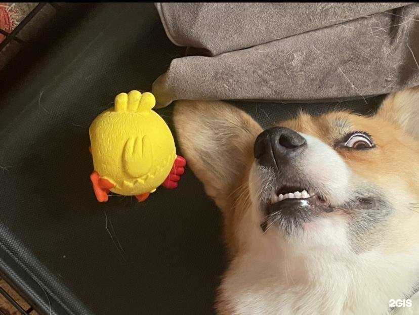 Отзывы на компанию Котовас в г. Хабаровск c фото