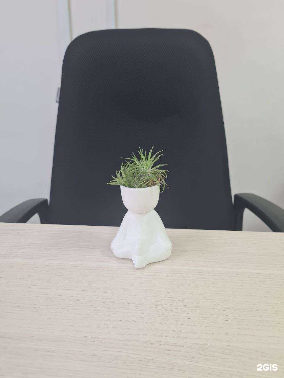 Отзывы на компанию DreamJob в г. Томск c фото