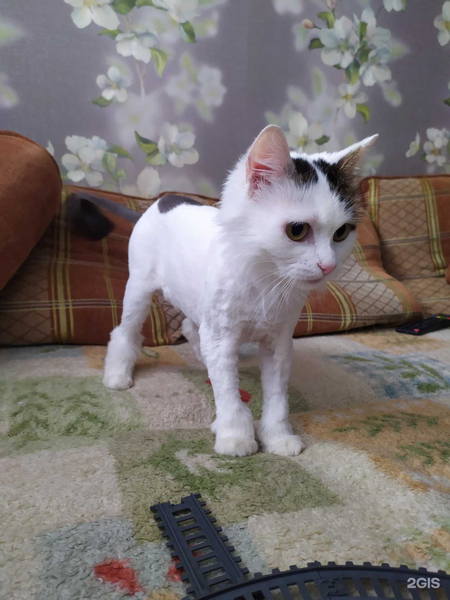 Отзывы на компанию Медея в Рязани c фото