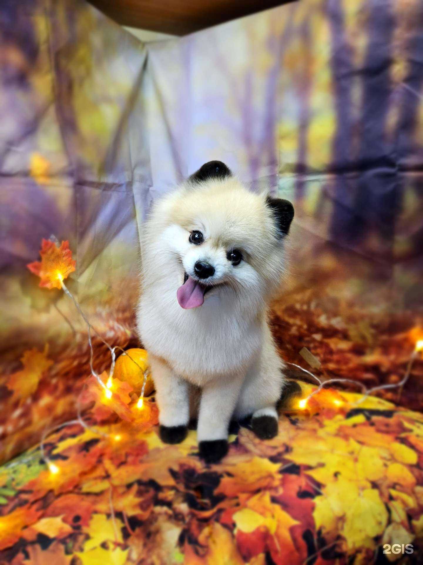 Отзывы на компанию Булошная в г. Чебаркуль c фото