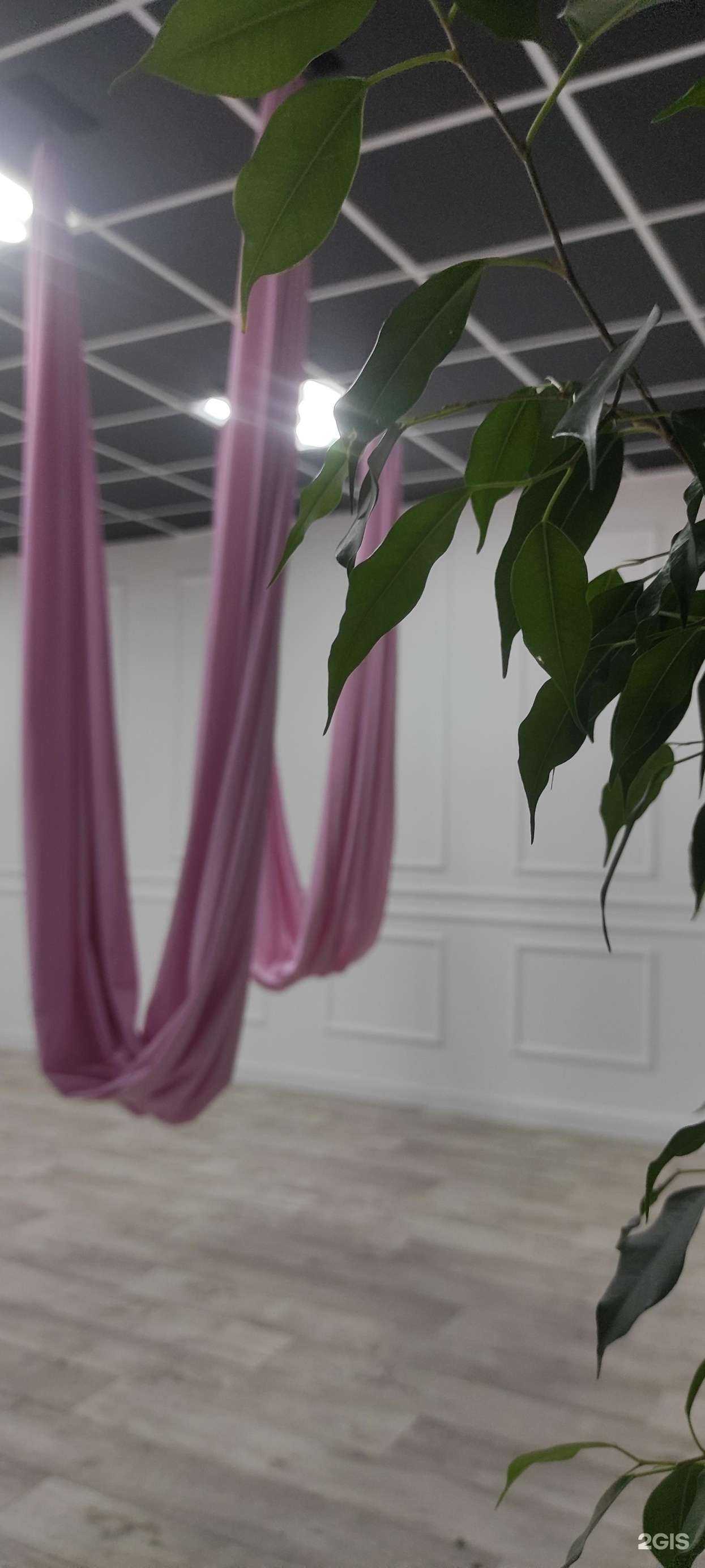 Отзывы на компанию Stretch out в Новочебоксарске c фото